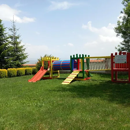 Wood & Μπάνσκο