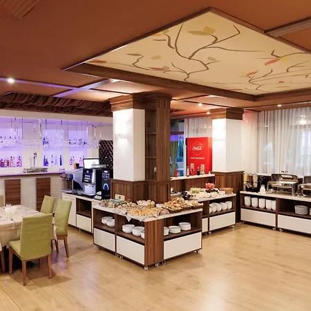 מלון דירות Wood & בנסקו